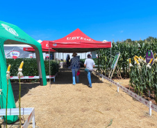 Agroshow Copagril, em Marechal Cândido Rondon