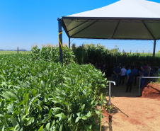 Agroshow Copagril, em Marechal Cândido Rondon