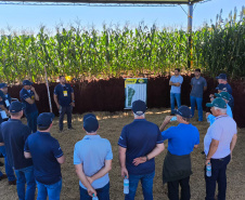 Agroshow Copagril, em Marechal Cândido Rondon