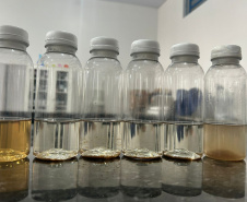 UNIOESTE TRANSFORMAM CABELO EM ADUBO