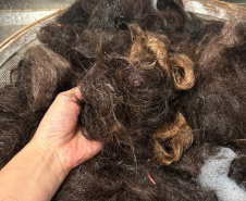 UNIOESTE TRANSFORMAM CABELO EM ADUBO