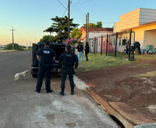 PCPR deflagra operação contra organização criminosa envolvida em homicídios e tráfico de drogas