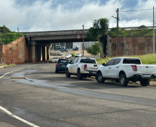 SEAB -  Operação contra greening em Paranavaí