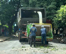 SEAB -  Operação contra greening em Paranavaí