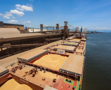 EXPORTAÇÃO