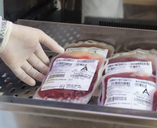 SESA HEMORREDE CONVOCA DOADORES SANGUE CARNAVAL