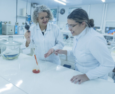 Mais da metade da pesquisa praticada na UEM é liderada por mulheres