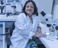 Mais da metade da pesquisa praticada na UEM é liderada por mulheres