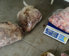 PCPR e Vigilância Sanitária apreendem 161 quilos de carne e prendem responsável em Pontal do Paraná