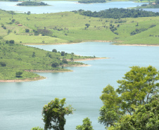 Paraná mais verde: Estado apresentou queda de 73% no desmatamento ilegal da Mata Atlântica entre 2023 e 2024.