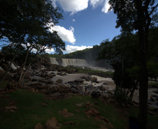 Paraná mais verde: Estado apresentou queda de 73% no desmatamento ilegal da Mata Atlântica entre 2023 e 2024.