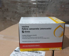  Secretaria da Saúde alerta sobre a importância da prevenção contra a febre amarela   