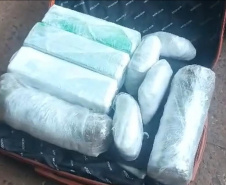 PMPR apreende 19 quilos de maconha na rodoviária de Curitiba