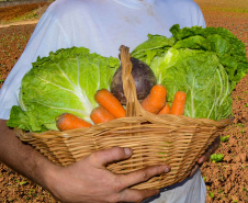 ALIMENTA