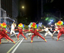 SETU DIVERSAS OPÇÕES CARNAVAL