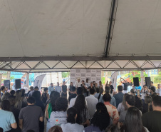 SESA AÇÕES COMBATE DENGUE