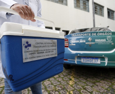 SESA TRANSPLANTES 2025