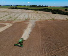 BOLETIM AGRO FEIJÃO