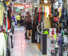 Saldo de empresas cresce 65% em janeiro de 2025, informa relatório da Jucepar