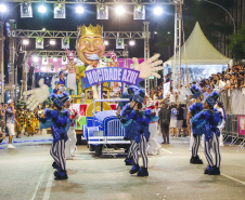 SETU DIVERSAS OPÇÕES CARNAVAL