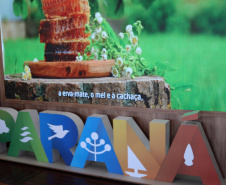  Com dois estandes, Turismo leva mais de 60 expositores paranaenses ao Show Rural Coopavel