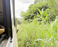 -Estrada de Ferro Paranaguá-Curitiba celebra 140 anos de história, desenvolvimento e turismo