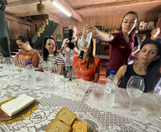 SETU CAMINHO DO VINHO BITURUNA