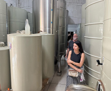 SETU CAMINHO DO VINHO BITURUNA