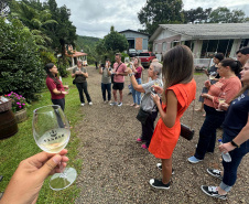 SETU CAMINHO DO VINHO BITURUNA