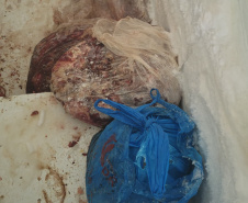 PCPR e Vigilância Sanitária apreendem 161 quilos de carne e prendem responsável em Pontal do Paraná