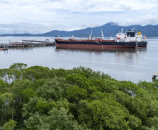  Porto de Paranaguá movimentou 72% da carga nacional de óleo de soja em janeiro