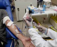 SESA HEMORREDE CONVOCA DOADORES SANGUE CARNAVAL