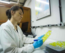 Composto por três laboratórios, a estrutura do IAT faz análises regulares de amostras de água, solo, sedimentos e peixes para a identificação de contaminantes e poluentes