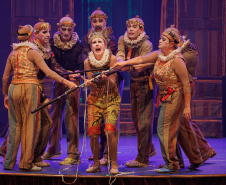 TEATRO GUAÍRA ESPETÁCULO INÉDITO G2
