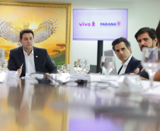 GOV REUNIÃO VIVO