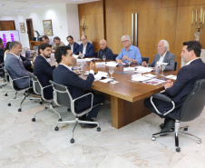 GOV REUNIÃO VIVO