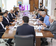 GOV REUNIÃO VIVO