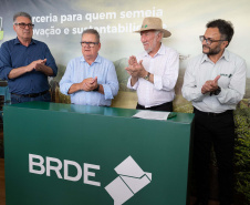 brde