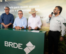brde