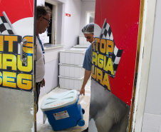 SESA TRANSPLANTES 2025