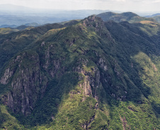 Levantamento do Instituto Água e Terra (IAT) revelou que o Paraná reduziu em 73% o desmatamento ilegal em 2024.