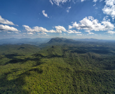 Levantamento do Instituto Água e Terra (IAT) revelou que o Paraná reduziu em 73% o desmatamento ilegal em 2024.