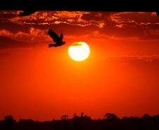 CHUVAS DIMINUEM, MAS CALOR CONTINUA EM MARÇO, AFIRMA SIMEPAR