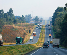 IPVA 2025: prazo para pagamento da segunda parcela para placas 7 e 8 termina nesta terça 