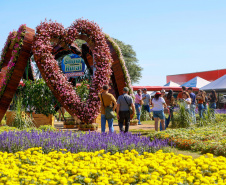 BRDE SHOW RURAL