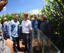 BRDE libera R$ 451 milhões em financiamentos para o agronegócio no Show Rural