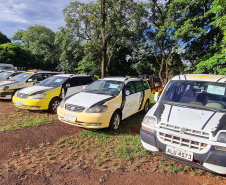 Governo do Paraná realiza leilão de veículos em Cascavel; visitação começa nesta semana.