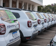 carros adapar