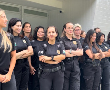 PCPR destaca o atuação das policiais civis no Dia Internacional da Mulher