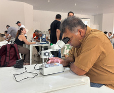 SESA CAPACITAÇÃO ACIDENTES ANIMAIS PEÇONHENTOS 
